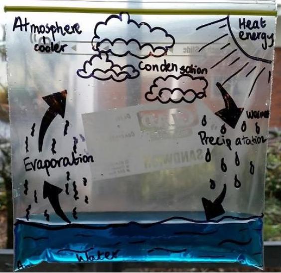 water cycle in a bag