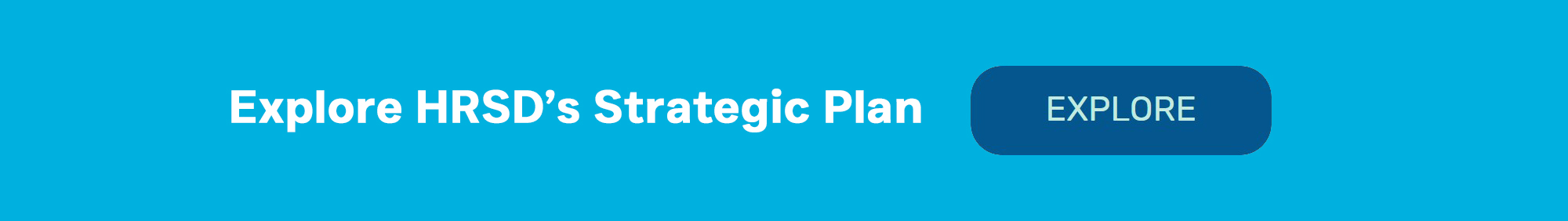 Strategic Plan